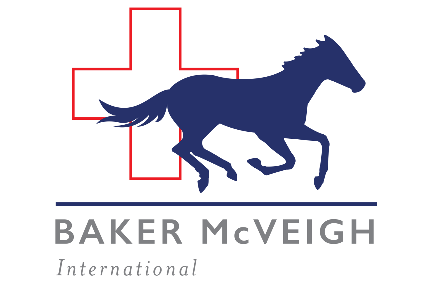 Baker McVeigh International