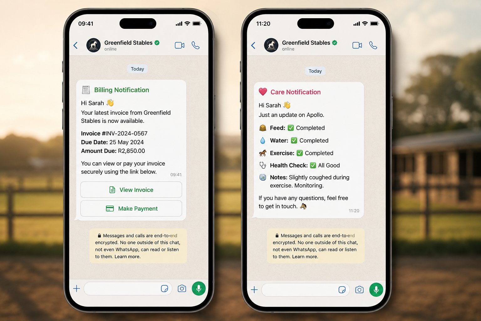 WhatsApp owner notifications — billing and care updates